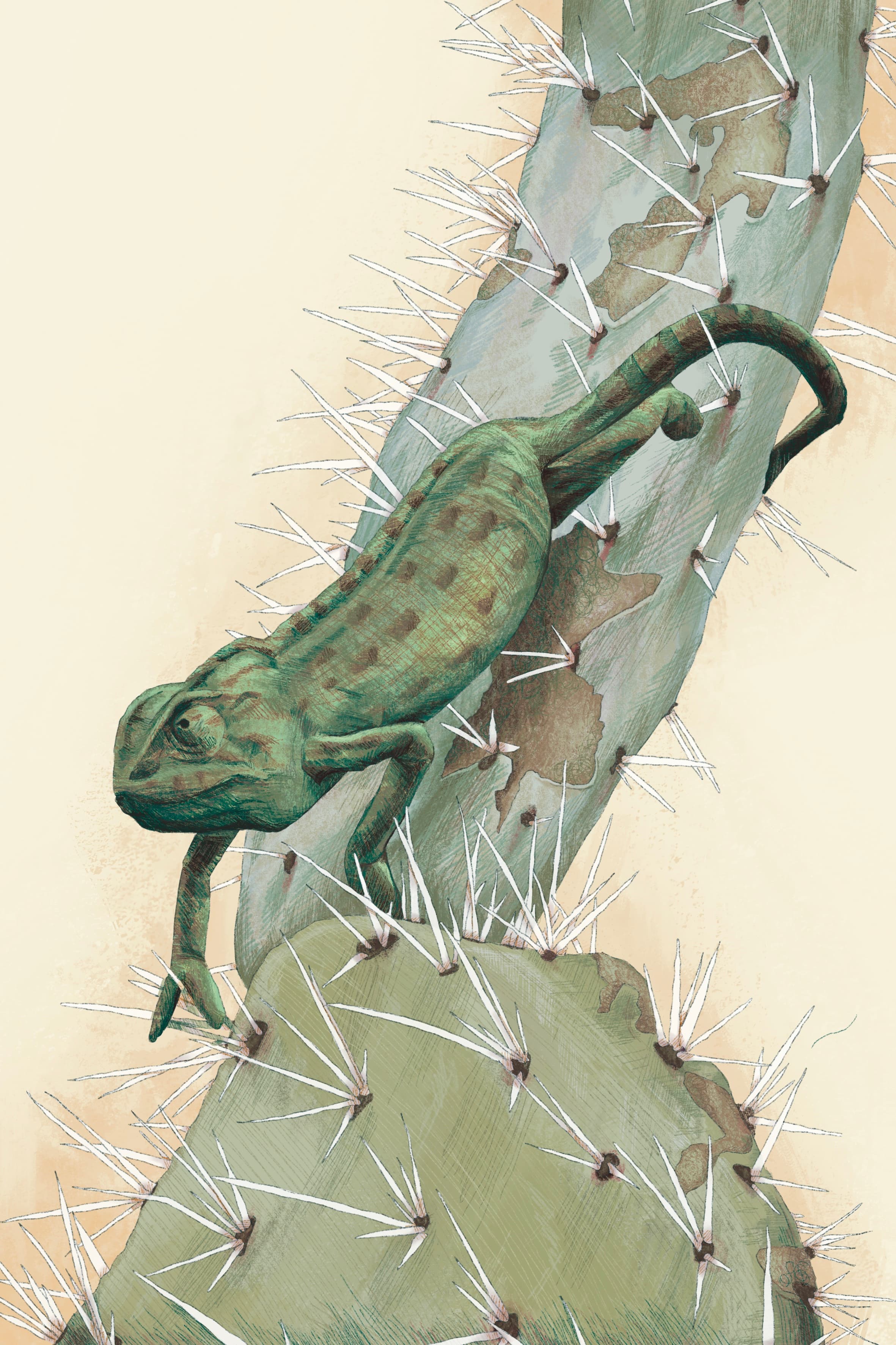 Camaleón chipionero