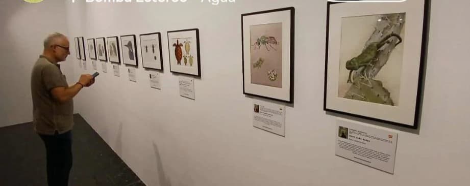 Exposición — Camaleón chipionero