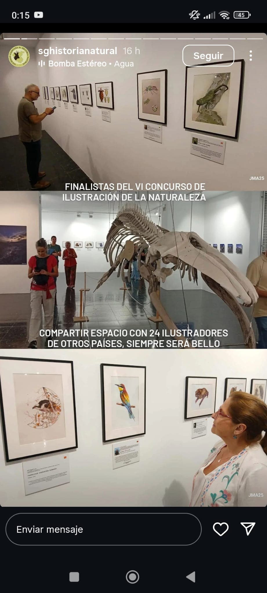 Exposición — Camaleón chipionero
